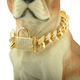 Gold Steel Dog Chain Collar for dogs